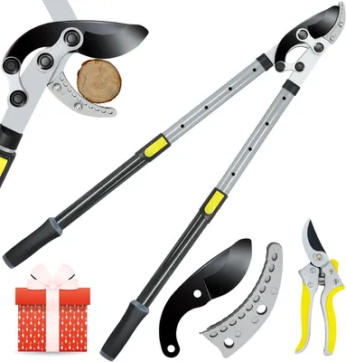 Productafbeelding van Aambeeld-takkenschaar, zware boomschaar met 5 cm schone snijcapaciteit, 71-98 cm, telescopische boomsnij-lange steel met SK5-reservemes