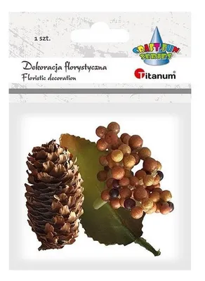 Image de Grappe de myrtilles avec feuille fruit jaune 1pc