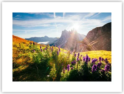 Produktbild von Poster - Poster ohne Rahmen - Berge Wiese Blumen - 40x30 cm - Wand Bild - Wanddeko - Wandbilder - Kunstposter - Wandposter - Bilder - Kunstdruck - Wanddekoration - Wandbild - P2XAA40x30-4008