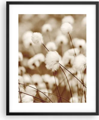 Produktbild von Gerahmtes Poster - Schwarzer Rahmen - Baumwolle Boho Wollig - 40x50 cm - Wand Bild - Wanddeko - Wandbilder - Kunstposter - Wandposter - Bilderrahmen - Bilder - Kunstdruck - P2BPA40x50-4850