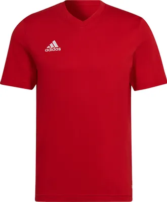 Produktbild von adidas Entrada 22 T-Shirt Herren tepore XL