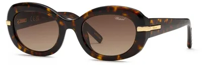 Produktbild von Chopard SCH414M Avana scura 53/22/140 Damen Sonnenbrillen