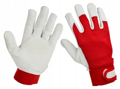 Produktbild von DBautomotive Z8B34 Arbeitshandschuhe Ziegenleder Rot Größe 10