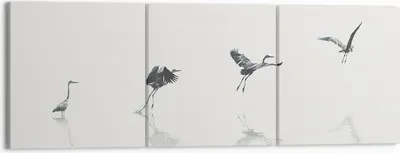 Produktbild von Bild auf Leinwand - Leinwandbild - 3 Teile - Flug Vogel Reiher - 150x50cm - Wand Bild - Wanddeko - Wandbilder - Leinwanddruck - Bilder - Wanddekoration - Leinwand bilder - Wandbild - CA150x50-5096