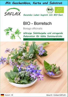Produktbild von SAFLAX - Geschenk Set - BIO - Borretsch - 40 Samen - Mit Geschenk- / Versandbox, Versandaufkleber, Geschenkkarte und Anzuchtsubstrat - Borago officinalis