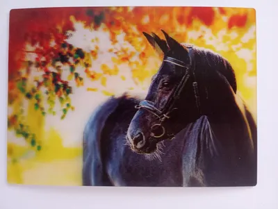 Produktbild von 3 D Ansichtskarte schwarzes Pferd, Bild Postkarte Wackelkarte Hologrammkarte Tiere Pferde