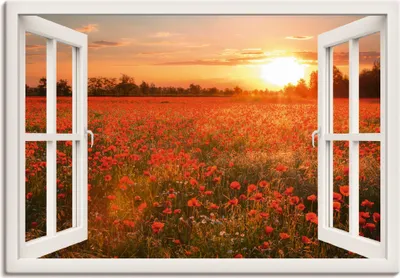 Produktbild von ARTland Leinwandbild Fensterblick Mohnblumenfeld - weiß Größe: 130x90 cm