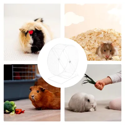 Produktbild von Leises Hamsterrad - Kleintier-Übungsrad für Hamster, Mäuse und Rennmäuse