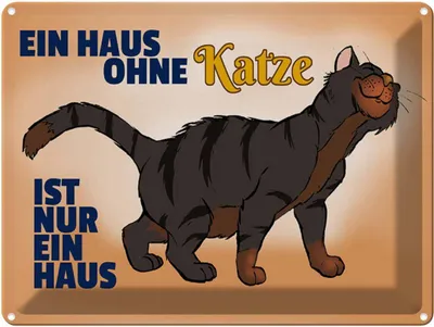 Produktbild von vianmo Blechschild 30x40 cm Haus ohne Katze ist nur ein