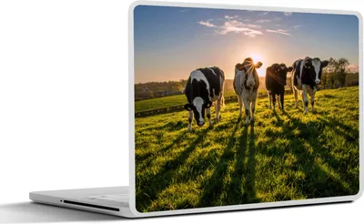Produktbild von MuchoWow® Laptop Aufkleber Sticker Cover Kuh - Gras - Sonne 40x30 cm - Laptop Dekoration - Selbstklebend