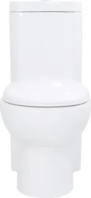 A front-facing view of a white ceramic toilet.