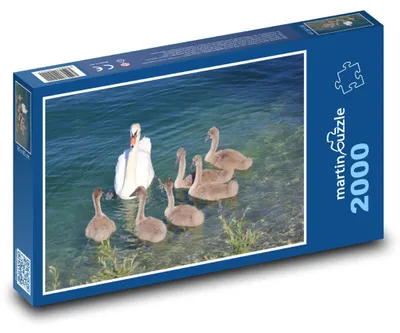 Zdjęcie produktu dla Puzzle 2000 Łabędź z pisklętami - martinpuzzle