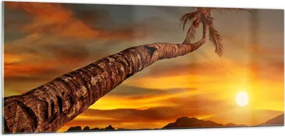 Produktbild von Bilder auf glas - Palme Landschaft Sonne - 100x40cm - Glasbilder - Wandbilder - Kunstdruck - zum Aufhängen bereit - Wanddekoration aus Glas - Glas Bilder - Wandbild auf Glas - GAB100x40-0162