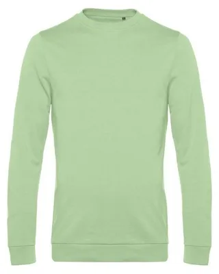 Productafbeelding van B&C - Heren sweatshirt met aangezette mouwen, model FK146 (maat M) (lichtgroen)