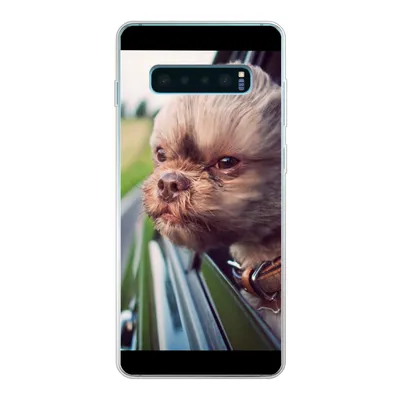Produktbild von MuchoWow® Handyhülle Schutzhülle Hülle für Samsung Galaxy S10 Lite Hund - Auto - Tier Silikon Softcase Handy Hülle - Schutz