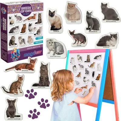 Immagine prodotto di Set con magneti "Razze di gatto" MV 4031-13