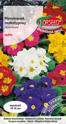A package of primrose seeds with images of various colored primrose flowers.