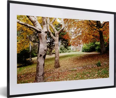Produktbild von MuchoWow® Gerahmtes Poster Herbst - Bäume - Laub - Natur 60x40 cm - Poster mit Schwarzem Bilderrahmen Wandposter Rahmen Foto Bilder - Schlafzimmer - Plakat in Rahmen - Drucken