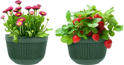 Produktbild von Famanu Pflanzenhalter mit Haken - Schwarz, 2er Set