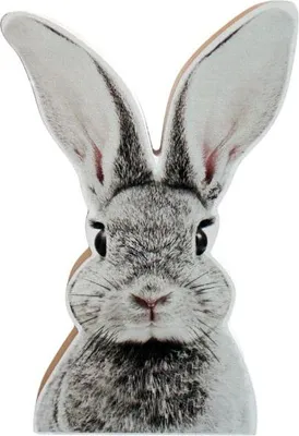 Produktbild von Dekofigur Hase Roger