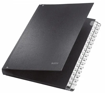 Produktbild von LEITZ Pultordner A4 1-31 32 F„cher Kunststoff schwarz