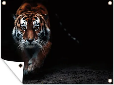 Produktbild von MuchoWow® 120x90 cm Outdoor-Poster Gartendeko Sichtschutz Garten Poster für den Garten  Tiere - Tiger - Schwarz - Wild - Porträt