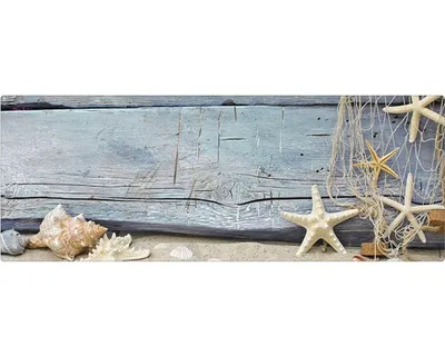 Produktbild von mySPOTTI Badrückwand aqua Seashell 120x45 cm