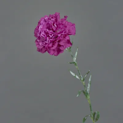 Produktbild von artplants.de Künstliche Nelke NIRUSHA, violett, 65cm - Kunst Nelken
