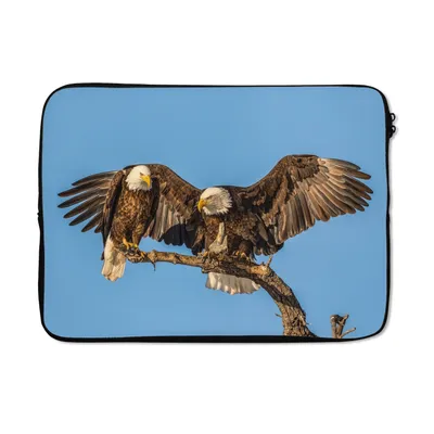 Produktbild von MuchoWow® Laptop Hülle 14 ZollVogel - Äste - Adler - Raubvögel - Luft Laptoptasche - Laptoptasche - Stoßsicher - Schutzhaube