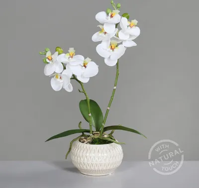 Produktbild von künstliche Orchidee REAL TOUCH weiß in Keramiktopf H. 36cm DPI Kunstblumen