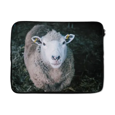 Produktbild von MuchoWow® Laptop Hülle 15 Zoll Schafe - Tiere - Rinder Laptoptasche - Laptoptasche - Sleeve - Rundum-Schutz