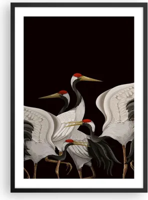 Produktbild von Gerahmtes Poster - Schwarzer Rahmen - Kraniche Vögel Grafiken - 50x70 cm - Wand Bild - Wanddeko - Wandbilder - Kunstposter - Wandposter - Bilderrahmen - Bilder - Kunstdruck - P2BPA50x70-4748