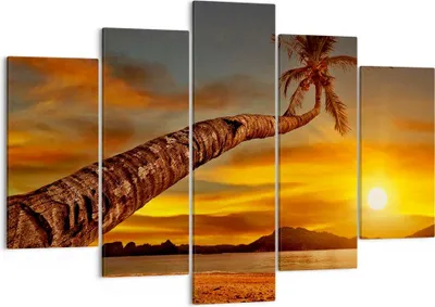 Produktbild von Bild auf Leinwand - Leinwandbild - Palme Landschaft Sonne - 150x100cm - Wand Bild - Wanddeko - Leinwanddruck - Bilder - Kunstdruck - Wanddekoration - Leinwand bilder - Wandkunst - EA150x100-0162