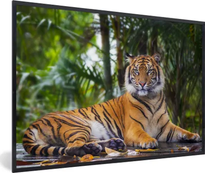 Produktbild von MuchoWow® Gerahmtes Poster Tiger - Tiere - Wald - Dschungel 90x60 cm - Poster mit Schwarzem Bilderrahmen Wandposter Rahmen Foto Bilder - Fotorahmen - Foto-Plakat