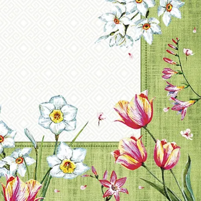 Produktbild von 50 Papstar Servietten, 3-lagig 1/4-Falz 40 cm x 40 cm Florentina 86714
