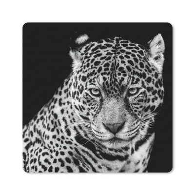 Produktbild von MuchoWow® Mauspad Mousepad Leopard - Tiere - Schwarz - Weiß - Porträt 30x30 cm - Mousepads - Maus Mat - Pad - Mausunterlage - Gaming