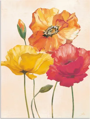 Produktbild von ARTland Wandbild Alu für Innen & Outdoor Bunte Mohnblumen I Größe: 45x60 cm
