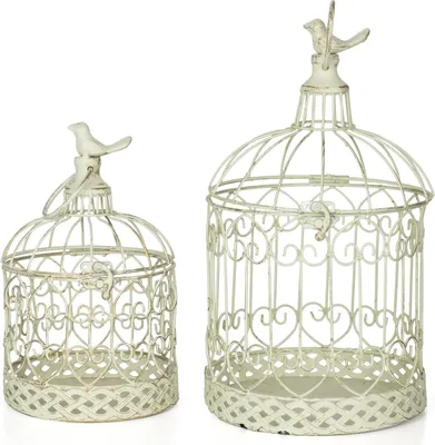 Immagine prodotto di Moritz gabbia decorativa per uccelli bianca rotonda set di 2 decorata con uccello decorazione gabbia per piante gabbia decorativa per fiori candele decorazione appesa decorazione lanterna