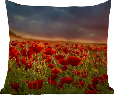Produktbild von MuchoWow® Outdoor Kissen - Sonnenuntergang - Mohnblumen - Rot - Blumen - Feld - Natur - 45x45 cm - Wetterfest - Lounge Kissen - Fotokissen - Dekoratives Kissen