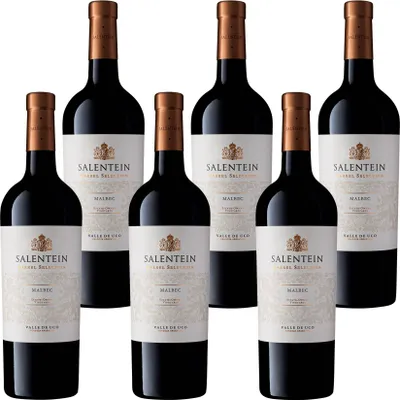 Produktbild von Bodegas Salentein Barrel Selection Malbec 6 x 0.75 l
