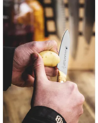 Produktbild von F.DICK Officemesser VIVUM mit 10 cm Klinge mit Birkenholzgriff 83647102H
