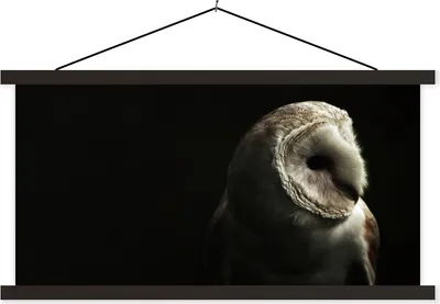 Produktbild von MuchoWow® Textilposter Eule - Vogel - Porträt 60x30 cm mit schwarzem Rahmen - Textilien