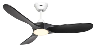 Immagine prodotto di ECO GENUINO L 122, Ventilatore con Luce, CasaFan