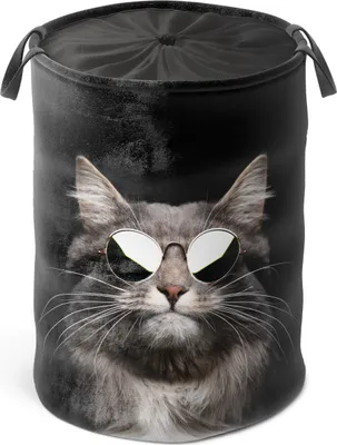 Produktbild von SANILO® Wäschekorb Cool Cat