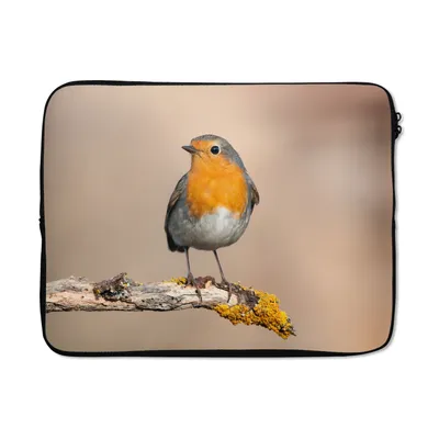 Produktbild von MuchoWow® Laptop Hülle 15 Zoll Rotkehlchen - Vogel - Zweig - Tiere Laptoptasche - Laptoptasche - Sleeve - Rundum-Schutz