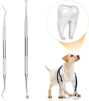 Produktbild von Professioneller Zahnsteinentferner und -schaber für Hunde, Zahnsteinentferner