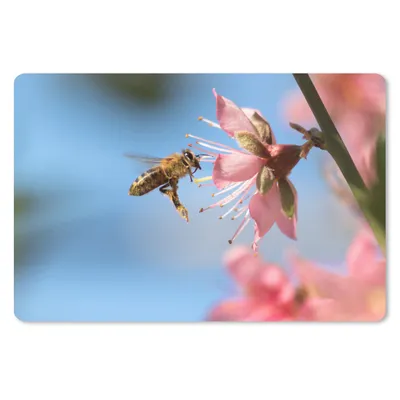Produktbild von MuchoWow® Schreibtischunterlage Biene - Blume - Rosa 60x40 cm - XXL Mauspad - Großes Mauspad