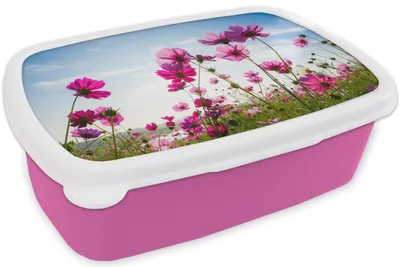 Produktbild von KitchenYeah® Lunchbox Brotzeit Brotdose 17x11 cm Blumen - Rosa - Cosmea Kinder Brotzeitdose - Lunchpaket - Brotkasten  - Sandwich Box