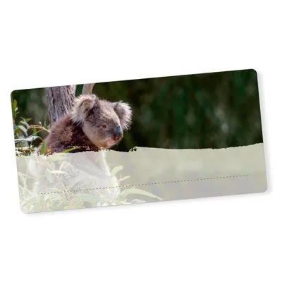 Produktbild von itenga 40x Buchetiketten Koala 9x4,5cm Namensetiketten Heftetiketten Schuletiketten