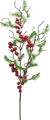Produktbild von Schneeast mit roten Pfeilen 65 cm